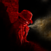 SuperNoir_byTeganLake